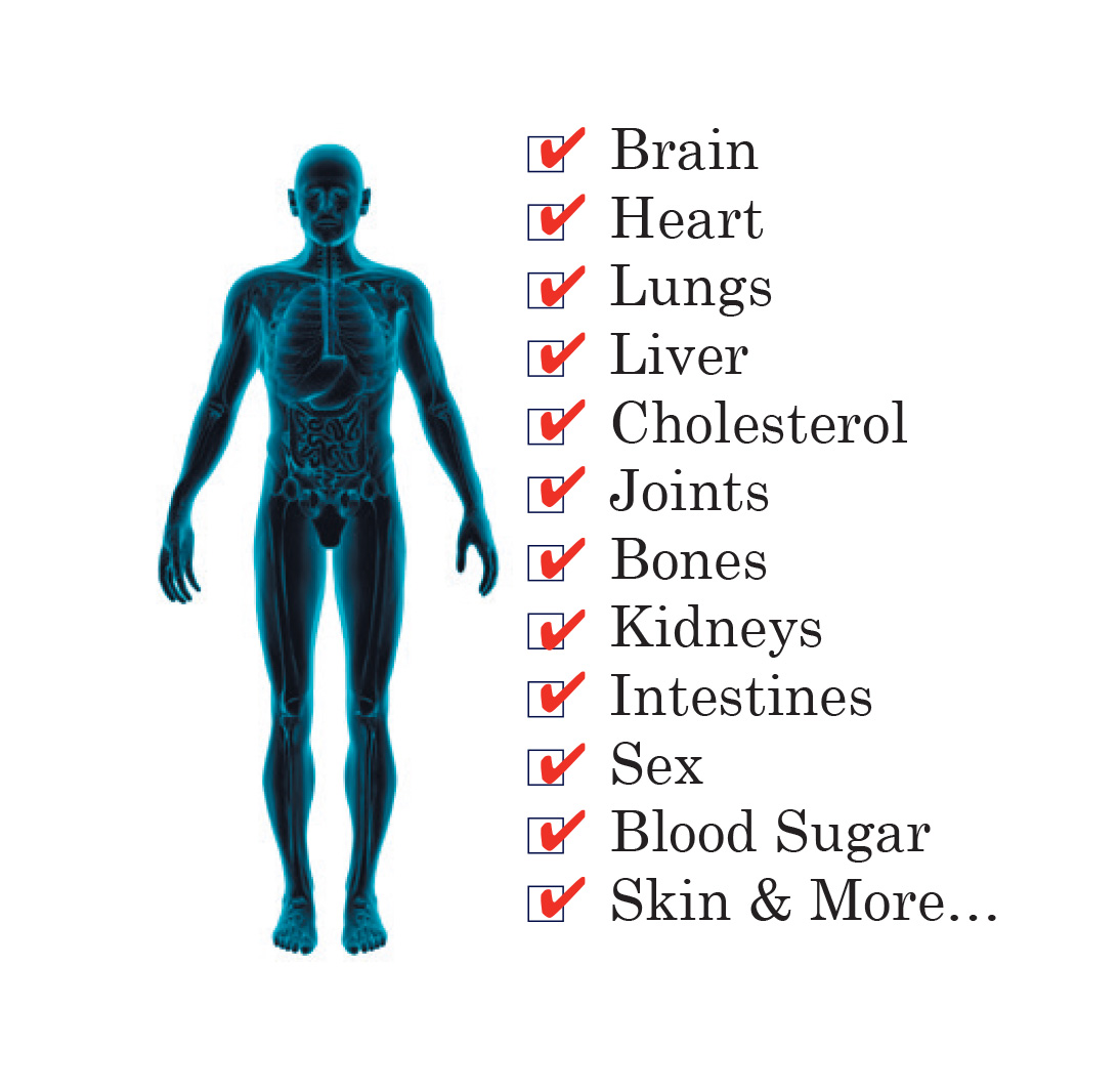 CellRegen Regenerative Supplement