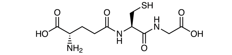 glutathionine