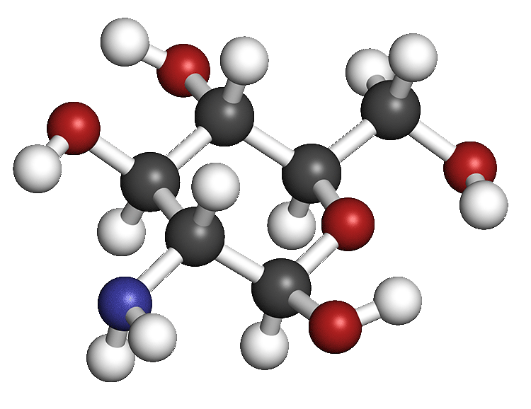chondroitin