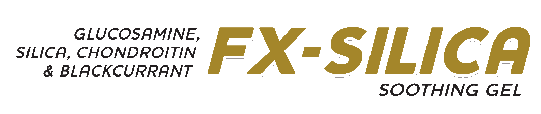 FX Silica Logo
