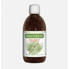 Meristem