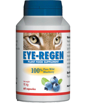 Eye-Regen