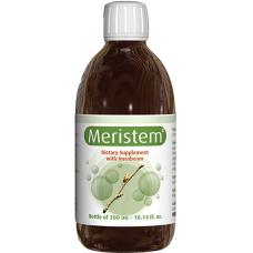 Meristem