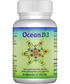 Ocean D3. 